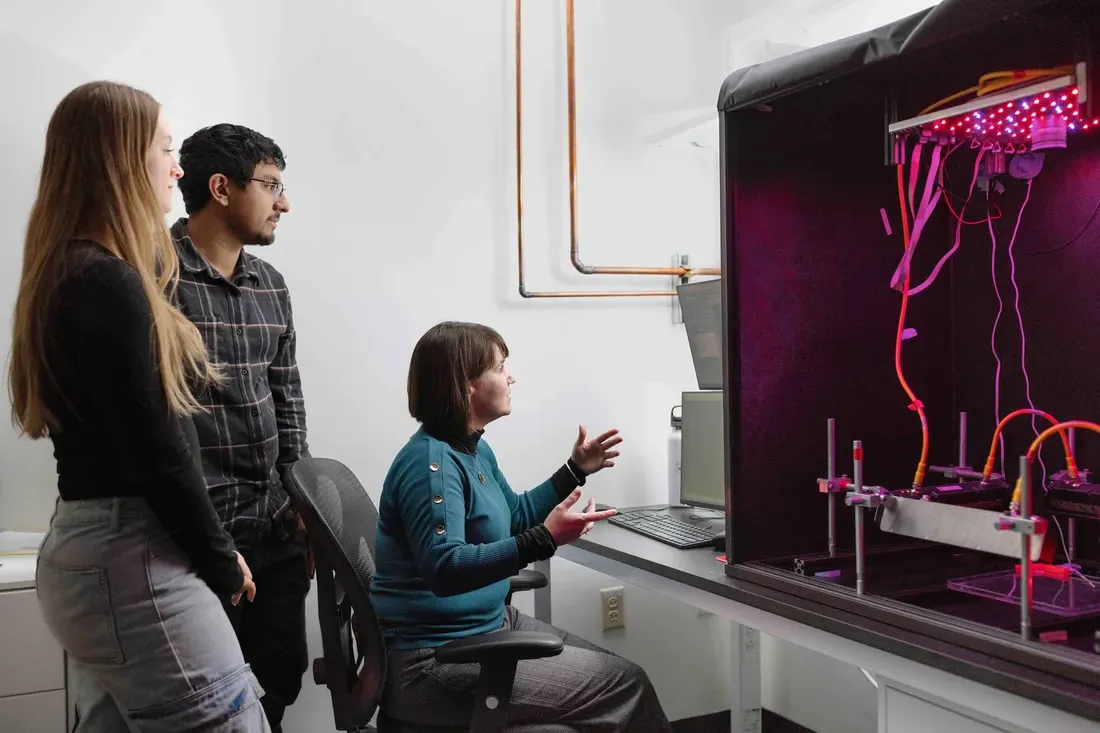 Professor Mirna Mihovilovic Skanata and students in a lab.